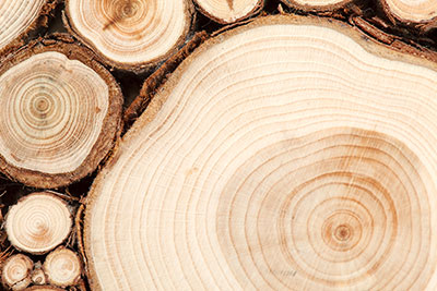 Foto: AdobeStock #63906614 von Maksim Shebeko Foto: AdobeStock #63906614 von Maksim Shebeko