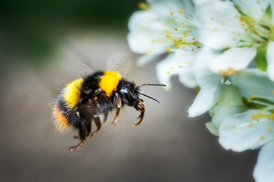 Foto: AdobeStock #279461657 von Daniel Foto: AdobeStock #279461657 von Daniel