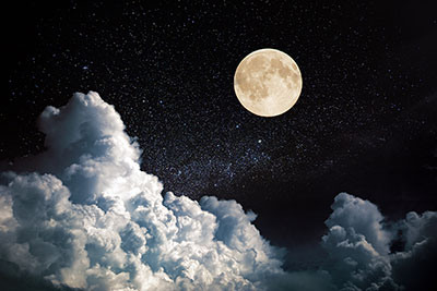 Foto: AdobeStock #314944538 von Alexander Ozerov Foto: AdobeStock #314944538 von Alexander Ozerov