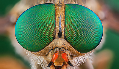 Foto: AdobeStock #287825801 von murgvi Foto: AdobeStock #287825801 von murgvi