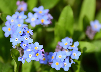 Foto: AdobeStock #107705443 von fotomarekka Foto: AdobeStock #107705443 von fotomarekka