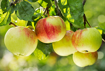 Foto: AdobeStock #189048648 von Nitr Foto: AdobeStock #189048648 von Nitr