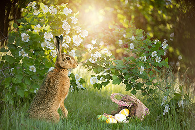 Bild: #416285083 von Photo-SD – Adobe Stock Bild: #416285083 von Photo-SD – Adobe Stock