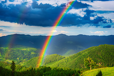 Foto: AdobeStock # 278366290 von Roxana Foto: AdobeStock # 278366290 von Roxana