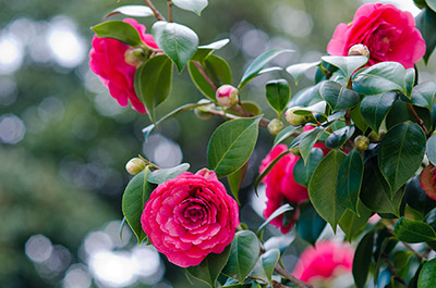 Foto: AdobeStock #41010116 von Mimohe Foto: AdobeStock #41010116 von Mimohe