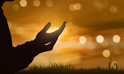 Bild #185078094 von Leo Lintang - stock.adobe.com Bild #185078094 von Leo Lintang - stock.adobe.com