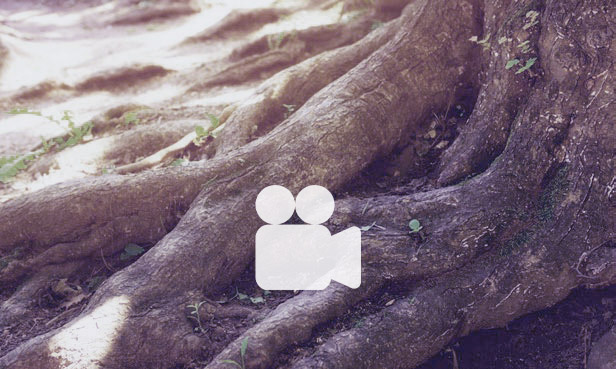 FAQ - die Spoida-Filmgalerie